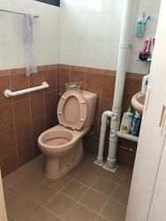 Blk 233 Bukit Batok East Avenue 5 (Bukit Batok), HDB 3 Rooms #172637292